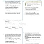 TOPRAK TYT Sosyal Bilimler Deneme Kitabı (GUNCEL)