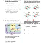 TOPRAK TYT Fizik Deneme Kitabı (GÜNCEL)