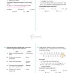 TOPRAK TYT Fen Bilimleri Deneme Kitabı (GUNCEL)