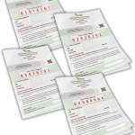 AYT Eşit Ağırlık-Sözel 4'lü Deneme Seti (MEB ve 2025 AYT Müfredatına Uygun)