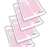 AYT Eşit Ağırlık-Sözel 4'lü Deneme Seti (MEB ve 2025 AYT Müfredatına Uygun)