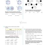 TOPRAK TYT Fen Bilimleri Deneme Kitabı (GUNCEL)